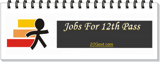 12th-pass-Assam-govt-jobs-20govt-com-528x205